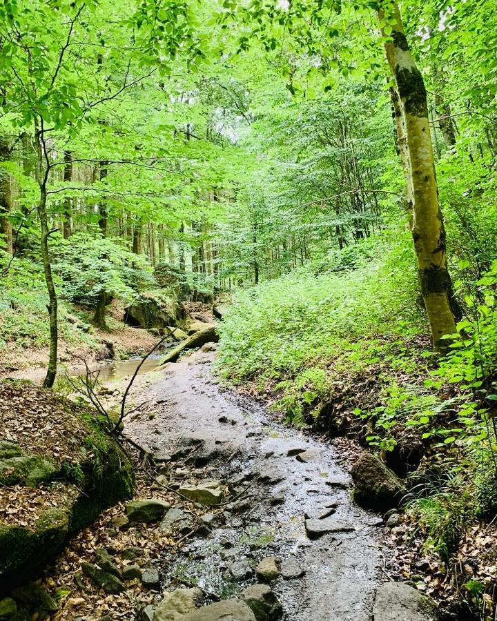 Tailor'S Trail Gite D'Adventure Beaufort Mullerthal Luaran gambar